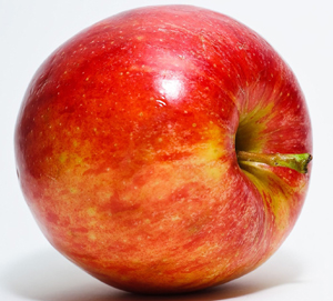 elma - Dyt. Nilgün Aydın