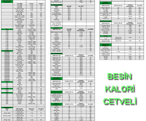 Besin kalori cetveli Dyt. Nilgün Aydın